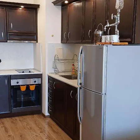 Anna-kalina Апартамент *